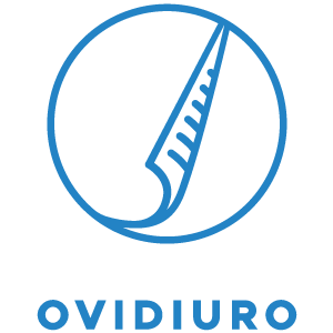 OvidiuRo