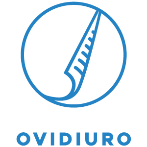 OvidiuRo